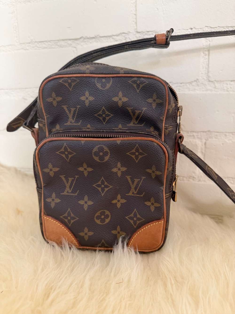 Louis Vuitton camera bag